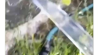 Laminar flow adalah jenis aliran fluida di mana partikel-fluida mengalir secara teratur dalam lapisan-lapisan paralel yang rapi