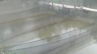 Untuk segmen pembesaran, kolam tanah belum ada tanding, ikan cepat besar, full pakan alternatif