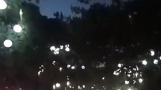 Christmas Lights along the Road.