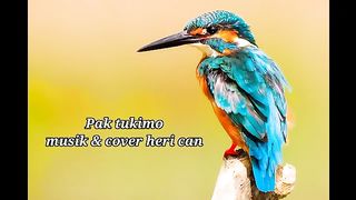Pak tukimo