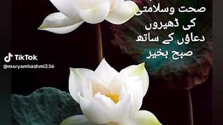 Good Morning 16