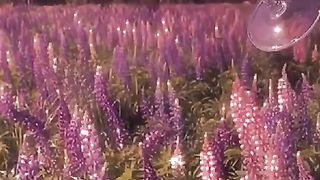 FOOTAGE 2