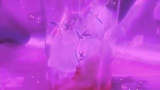 FOOTAGE 17