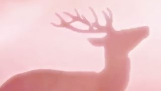 FOOTAGE 23