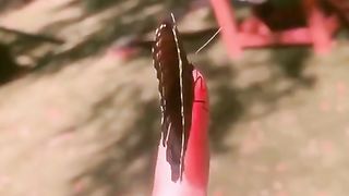 FOOTAGE 44