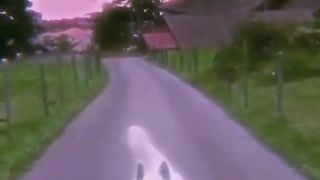 FOOTAGE 47