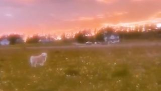 FOOTAGE 62