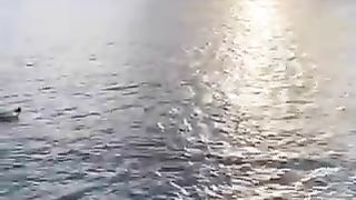 nature 26