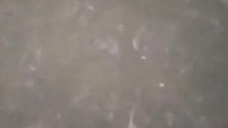 Pendederan ikan lele tebar ukuran 2-3cm estimasi panen 5-7cm up