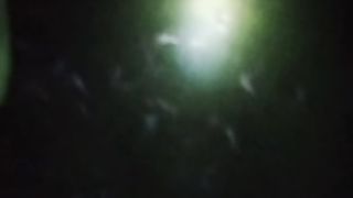 Terutama pada malam hari, cek pH air kolam setelah hujan itu wajib, jangan sampai lengah