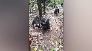 No one would believe it if it wasn't filmed!!!
