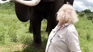 Amazing Elephant video....