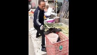 The world's fastest and most brilliant workers