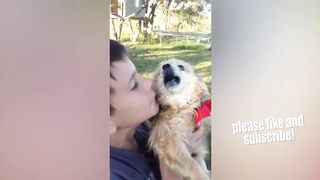 THE BEST CUTE AND FUNNY DOG VIDEOS OF 2023! ???? 2