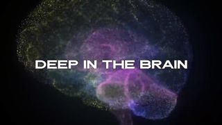 How To Force Your Brain To Crave Doing Hard Things