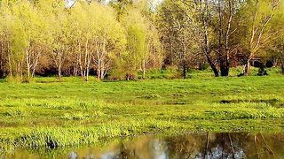 ✅Música instrumental para relaxar, estudar e trabalhar- Fragmentos #10 #Shorts
