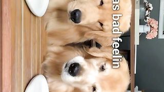 Food Review with Grandpa