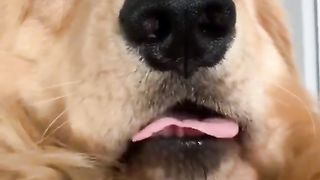Mlemm Check