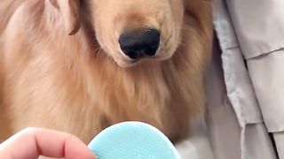 Had Enough of You Scroober!