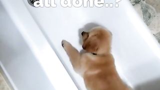 You Peed on Me!