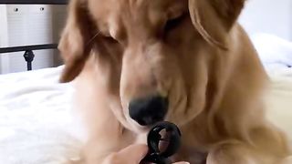 Don't Make Me Chomp You!