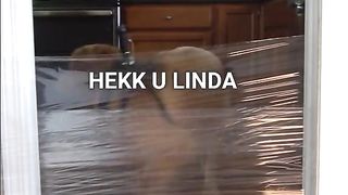 Dog VS Invisible Challenge
