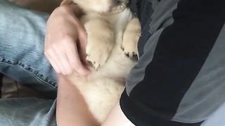 We got a puppy!