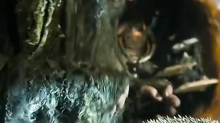 Nice video movies