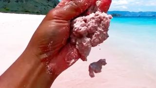 Pink Beach