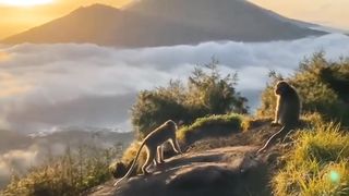 Sunrise 10