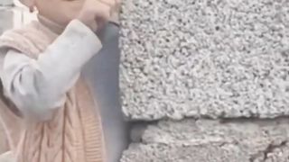 ???????????????? 117
