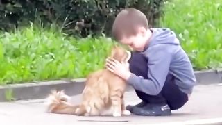 Moment of warmth for children and pets