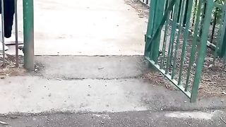 Fun moments of pets