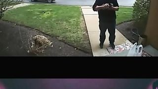 Ridiculous Incident vol 30