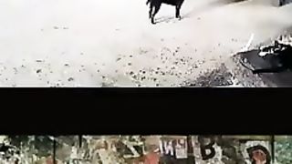 Ridiculous Incident vol 34