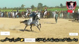 #febspot#foryou #foryoupage#horses#ridings#vedios #fyp #Ahmad#horsepower#trendin43