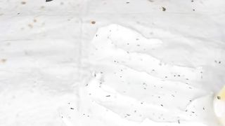 Вкуснейшый новогодний рулет