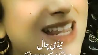 song tedy nen