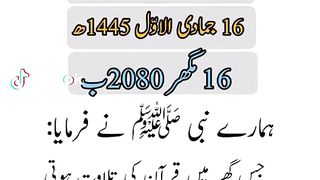 Lovely 210