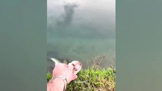 Funny Moments Of The Week / Funny Fails / Like A Boss Compilation 2