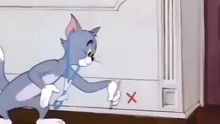 Tom jeriy 24