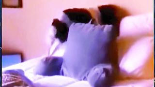 funny cats and dogs 7