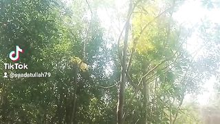 Short viral video 3