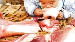 Funny video 2023 74