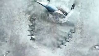 beautiful fishes 2