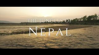 Amazone of Nepal