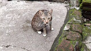 Jangan lihat lihat