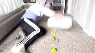 If Cleaning Was a Timed Sport. Part 2