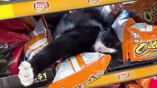 The things you ses target
