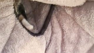 Kittens know how to keep warm